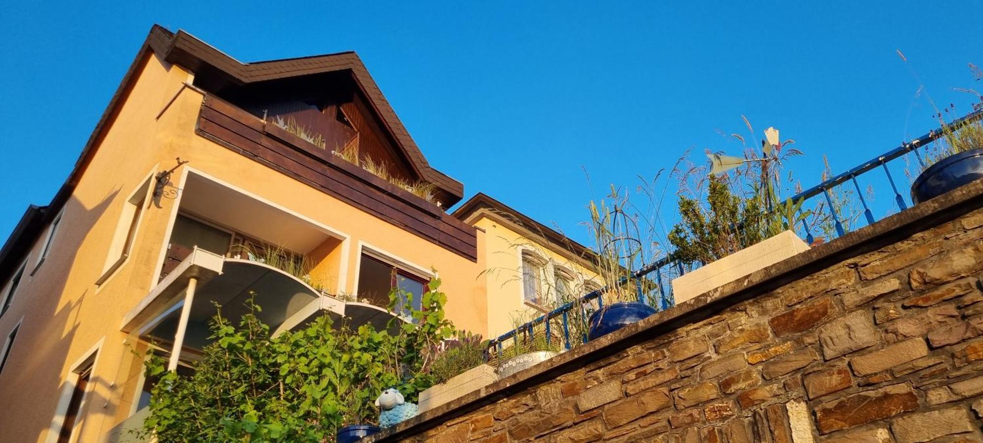 Pension Regina Cochem Esterno foto