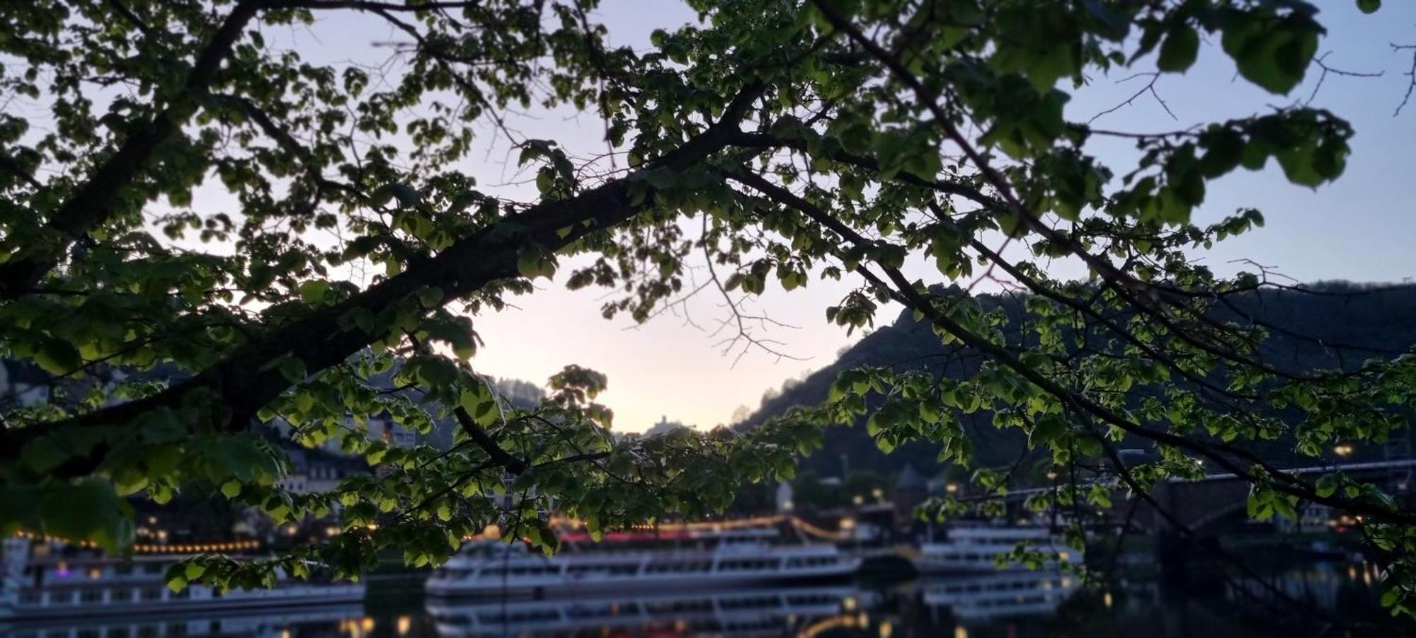 Pension Regina Cochem Esterno foto